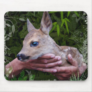 "Protected" Mouse Pad