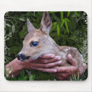 "Protected" Mouse Pad