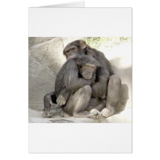 Protection of Love_ Cards (Front)