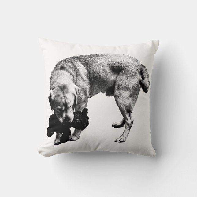 Protective Curve Throw Pillow (Front)