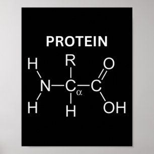 Protein Molecule - Gym And Chemistry Bodybuilding  Poster