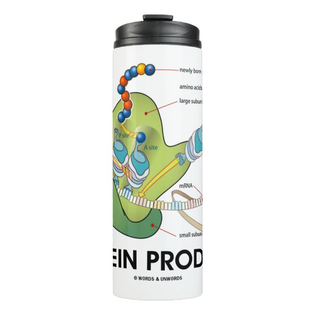 Protein Producer Biology Protein Synthesis Humor Thermal Tumbler (Front)