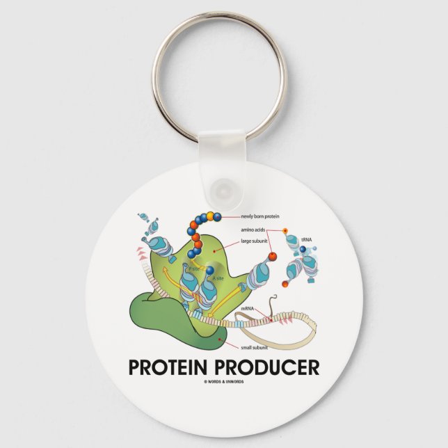 Protein Producer (Biology Protein Synthesis) Keychain (Front)