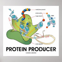 Protein Producer (Biology Protein Synthesis) Keychain