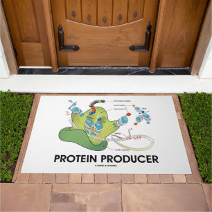 Protein Producer mRNA tRNA Protein Synthesis Doormat