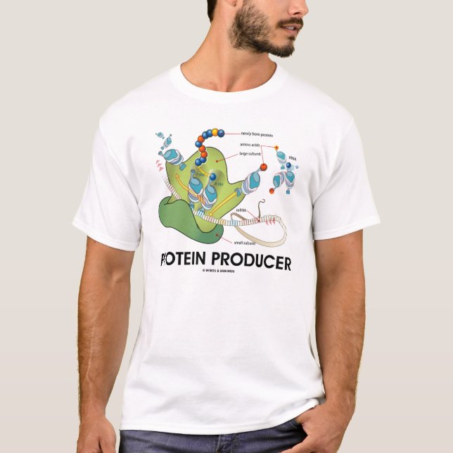 Protein Producer (Protein Synthesis) T-Shirt (Front)