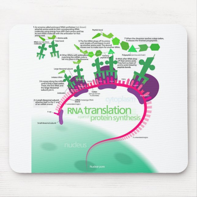 Protein Synthesis Diagram of RNA translation  Mouse Pad (Front)