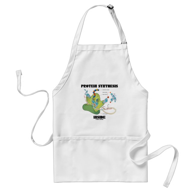 Protein Synthesis Inside (Cell Biology) Adult Apron (Front)