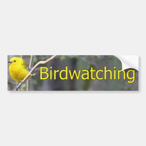 Prothonatary Warbler Logo Bumper Sticker