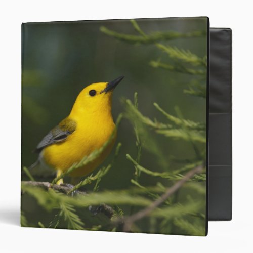 Prothonotary Warbler adult male in spring Texas 3 Ring Binder