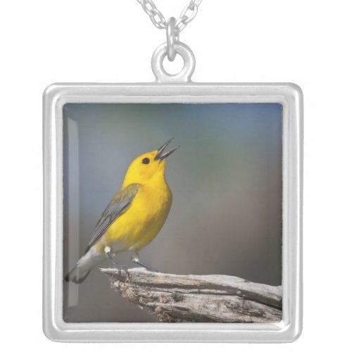 Prothonotary Warbler adult male in spring Texas Silver Plated Necklace