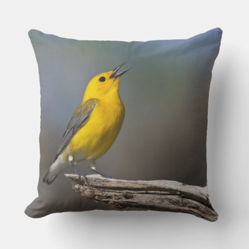 Prothonotary Warbler adult male in spring Texas Throw Pillow