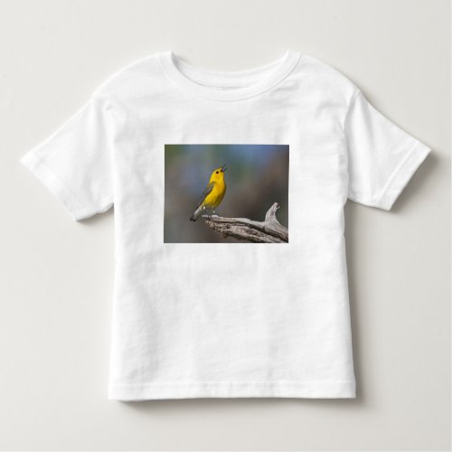 Prothonotary Warbler adult male in spring Texas Toddler T_shirt