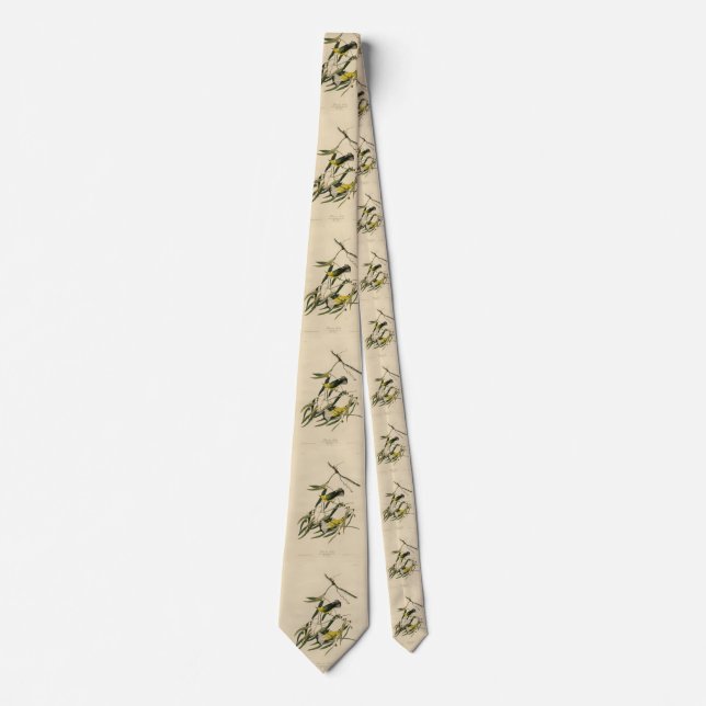 Prothonotary Warbler - Audubon's Birds of America Neck Tie (Front)