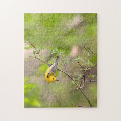 Prothonotary Warbler Jigsaw Puzzle