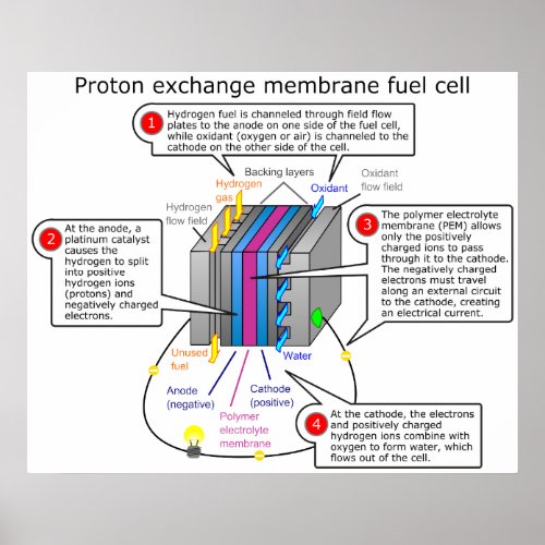 Proton Exchange Membrane Fuel Cell Diagram Poster