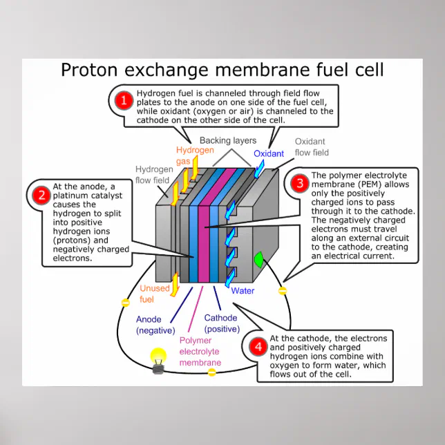 Proton Exchange Membrane Fuel Cell Diagram Poster Zazzle