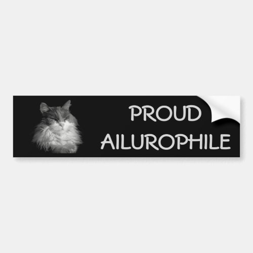 Proud Ailurophile  Cat Lover Maine Coon Bumper Sticker