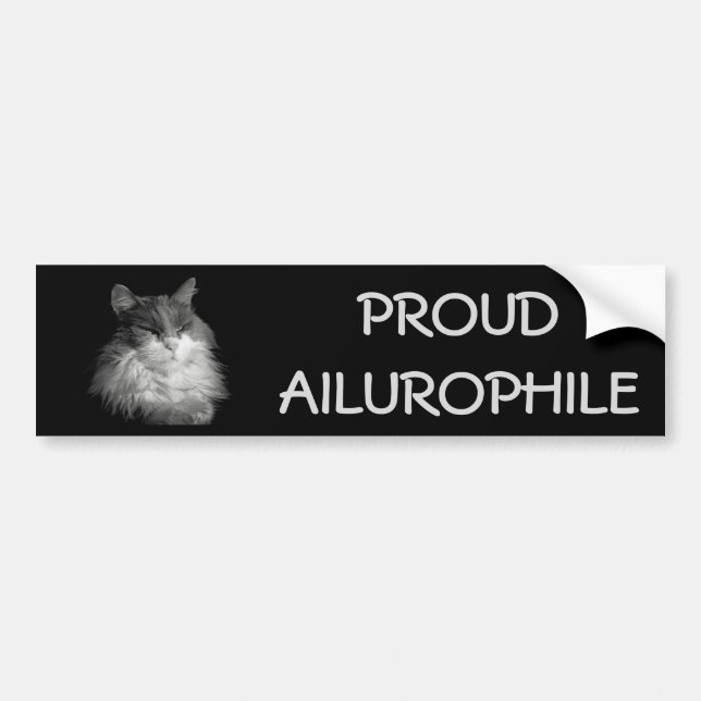 Proud Ailurophile ( Cat Lover) Maine Coon Bumper Sticker (Front)