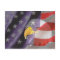Proud and Patriotic USA Bald Eagle Postcard