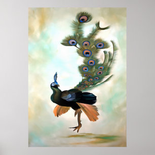 Proud As A Peacock Colorful Courtship Display Poster