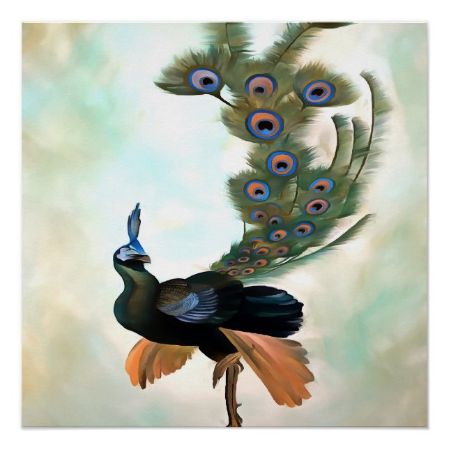 Proud As A Peacock Colorful Courtship Display Poster (Front)