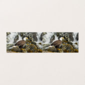 Proud Bald Eagle (Outside Unfolded)