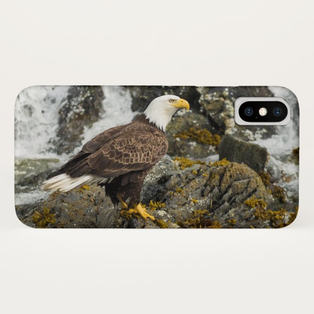 Proud Bald Eagle Case-Mate iPhone Case (Back (Horizontal))