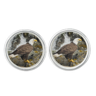 Proud Bald Eagle Cufflinks