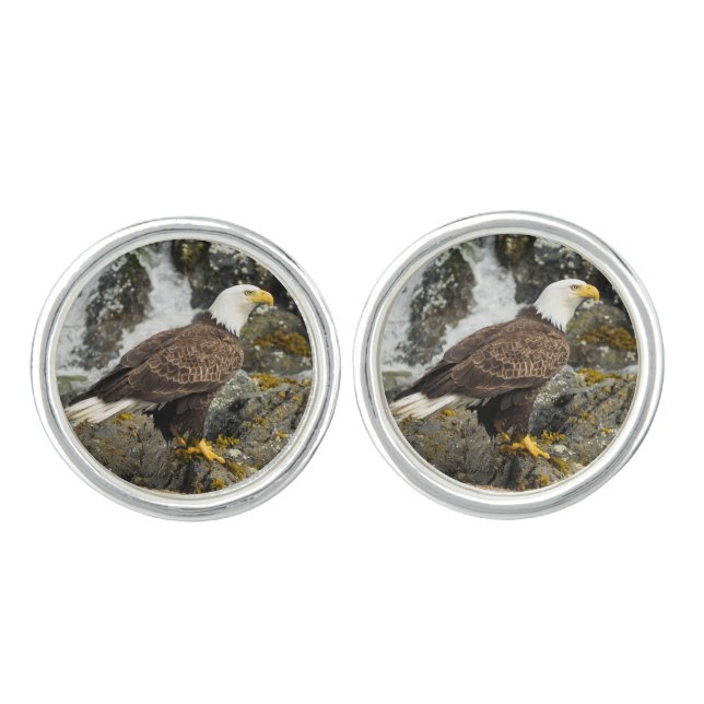 Proud Bald Eagle Cufflinks (Front)