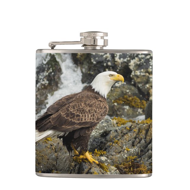 Proud Bald Eagle Flask (Front)