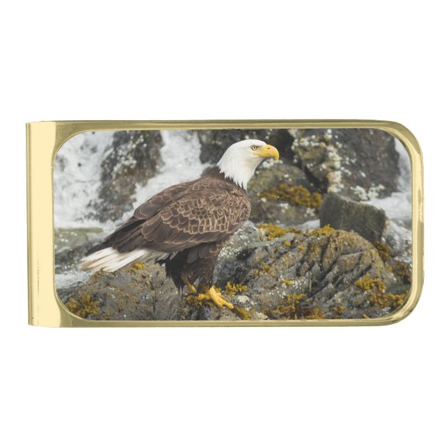 Proud Bald Eagle Gold Finish Money Clip (Front)