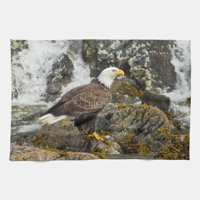 Proud Bald Eagle Kitchen Towel (Horizontal)