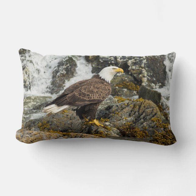 Proud Bald Eagle Lumbar Pillow (Front)