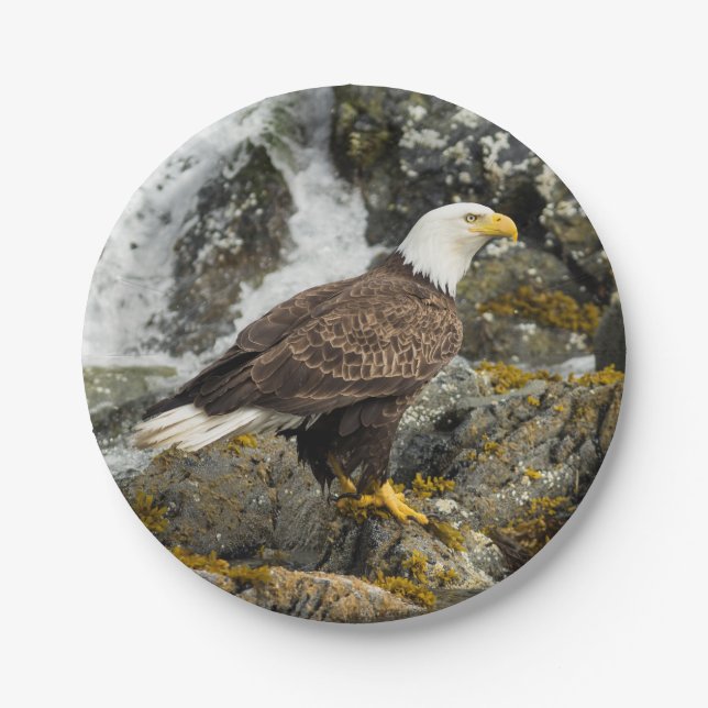 Proud Bald Eagle Paper Plates (Front)