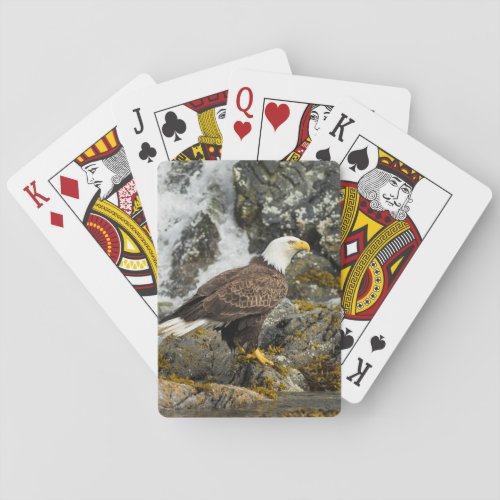 Proud Bald Eagle Poker Cards