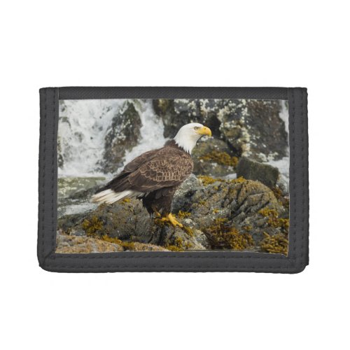 Proud Bald Eagle Trifold Wallet