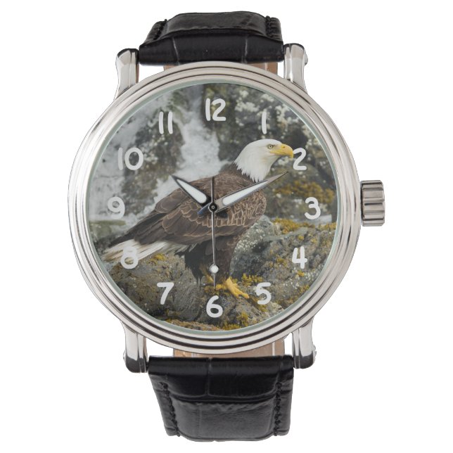 Proud Bald Eagle Watch (Front)