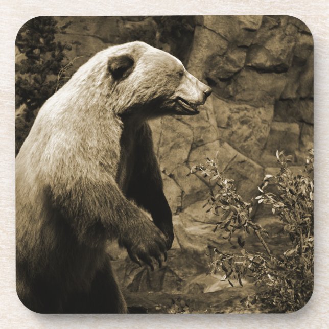 Proud Bear Beverage Coaster (Front)