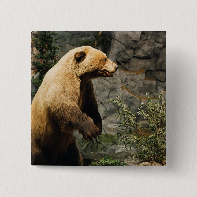 Proud Bear Button (Front)