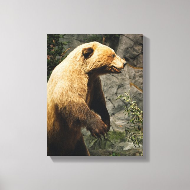 Proud Bear Canvas Print (Front)
