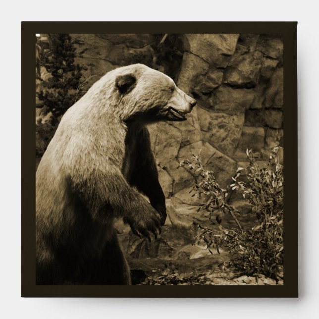 Proud Bear Envelope (Front)