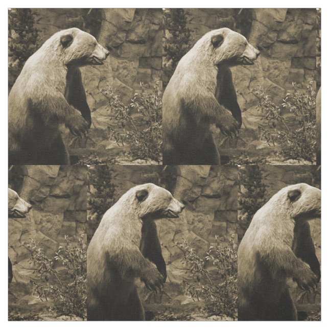 Proud Bear Fabric (Swatch)