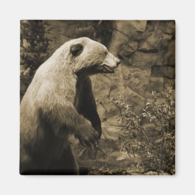 Proud Bear Magnet (Front)