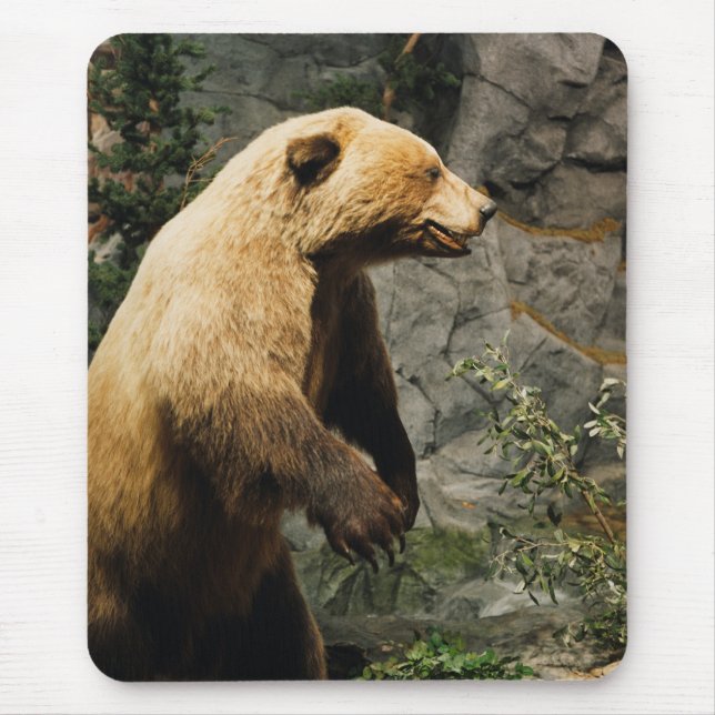 Proud Bear Mouse Pad (Front)