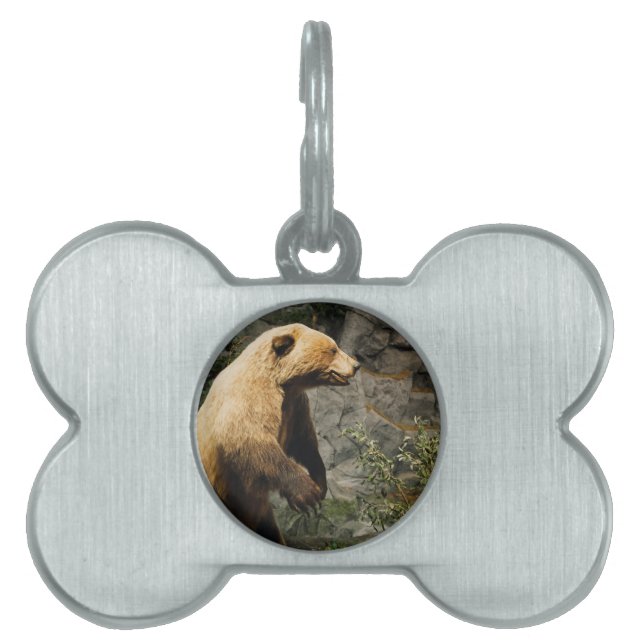Proud Bear Pet ID Tag (Front)