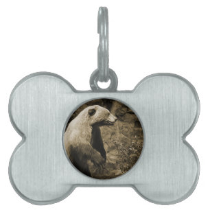 Proud Bear Pet Name Tag