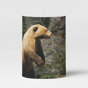 Proud Bear Pillar Candle