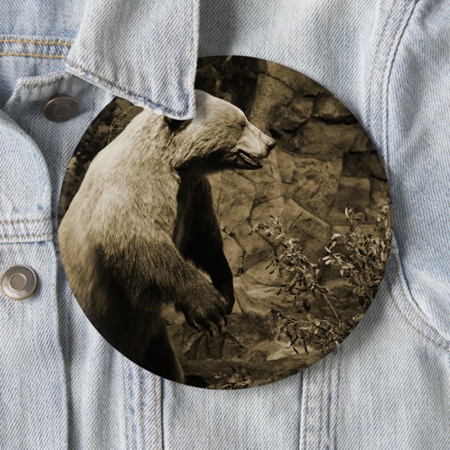 Proud Bear Pinback Button (In Situ)