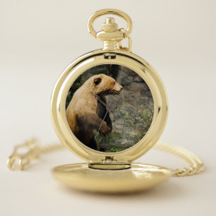 Proud Bear Pocket Watch